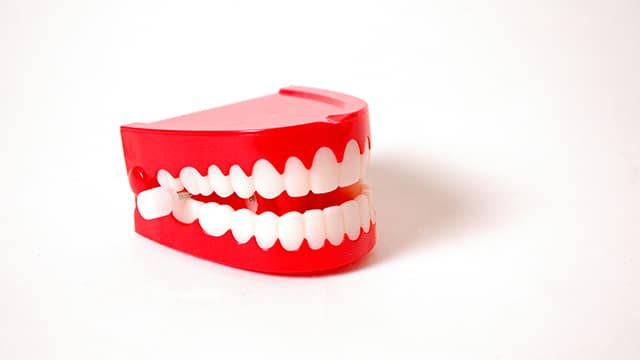 Dentadura de plástico