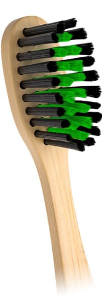 PRUVADE Paquete de 144 cepillos de dientes desechables de bambú con pasta  de dientes incorporada, cepillos de dientes prepegados envueltos – Yaxa  Colombia