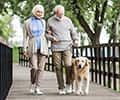 Happy senior couple walking with dog across wooden bridge in park