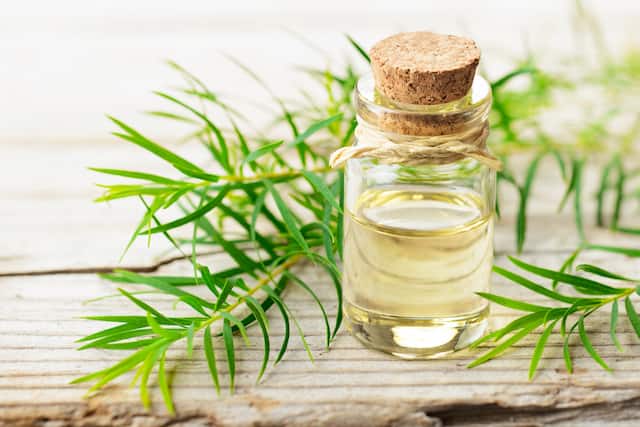 Best Ways to Use Tea Tree Oil for Skin Whitening